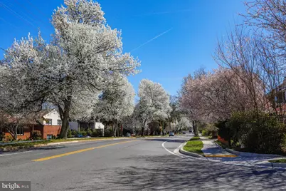 10306 Fleming Avenue, Bethesda, MD 20814 - Photo 50
