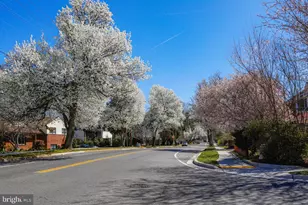 10306 Fleming Ave, Bethesda, MD 20814 - Photo 50