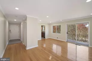 10619 Weymouth St, Bethesda, MD 20814 - Photo 10