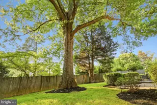 11006 Old Coach Rd, Potomac, MD 20854 - Photo 36