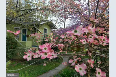 301 Elm Avenue, Takoma Park, MD 20912 - Photo 42