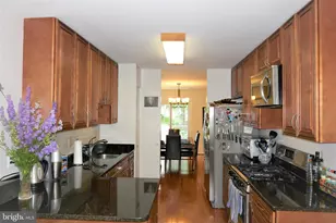 703 Twin Holly Ln, Silver Spring, MD 20910 - Photo 6