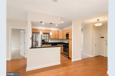 38 Maryland Avenue #335, Rockville, MD 20850 - Photo 14