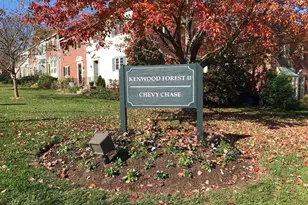 4847 Chevy Chase Dr, Chevy Chase, MD 20815 - Photo 18