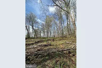 Lot 0 Kingstead Road, Damascus, MD 20872 - Photo 8