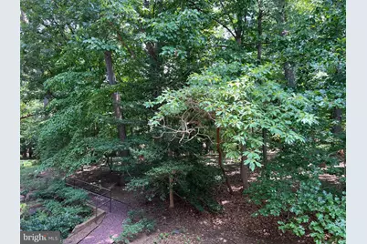 4936 Sentinel Drive #5-203, Bethesda, MD 20816 - Photo 10