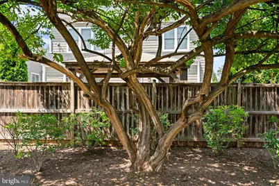5811 Walton Road, Bethesda, MD 20817 - Photo 76