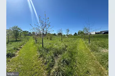 15491 Barnesville Road, Boyds, MD 20841 - Photo 10