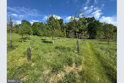 15491 Barnesville Road, Boyds, MD 20841 - Photo 6