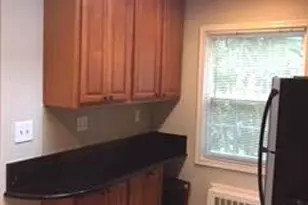 7219 Flower Ave, Takoma Park, MD 20912 - Photo 10