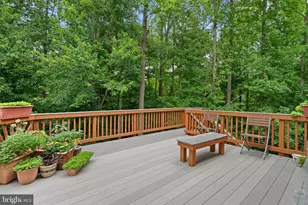 4012 Cotton Tree Ln, Burtonsville, MD 20866 - Photo 40