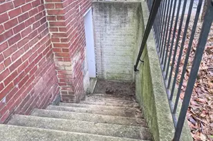 805 Houston Ave, Takoma Park, MD 20912 - Photo 16