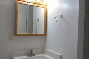 19 Shady Spring Pl, Gaithersburg, MD 20877 - Photo 28