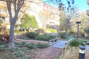 8101 Connecticut Ave, Chevy Chase, MD 20815 - Photo 54