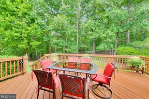 435 Upshire Cir, Gaithersburg, MD 20878 - Photo 44