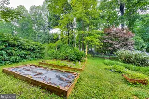 14904 Claude Ln, Silver Spring, MD 20905 - Photo 48
