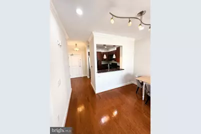 38 Maryland Avenue #PH 608, Rockville, MD 20850 - Photo 8