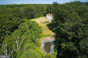 21050 Big Woods Rd, Dickerson, MD 20842 - Photo 44
