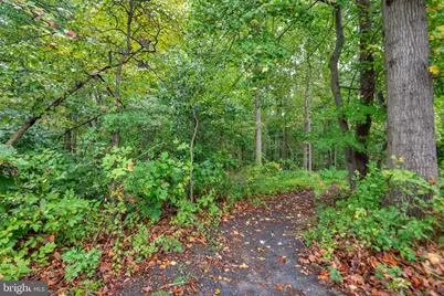 11326 Emerald Park Road, Potomac, MD 20854 - Photo 46