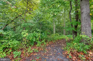 11326 Emerald Park Rd, Potomac, MD 20854 - Photo 46