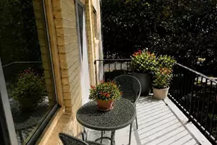 10524 Weymouth St, Bethesda, MD 20814 - Photo 10