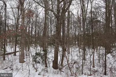 Beech Lane #PARCEL 27, Accokeek, MD 20607 - Photo 10