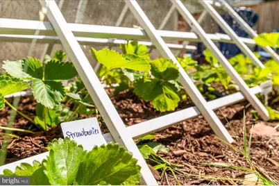 4711 Oliver Street, Riverdale, MD 20737 - Photo 70