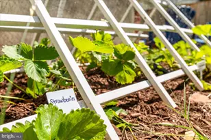 4711 Oliver St, Riverdale, MD 20737 - Photo 70