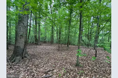 Hidden Valley Road, Accokeek, MD 20607 - Photo 22