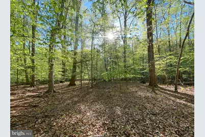 Hidden Valley Road, Accokeek, MD 20607 - Photo 8