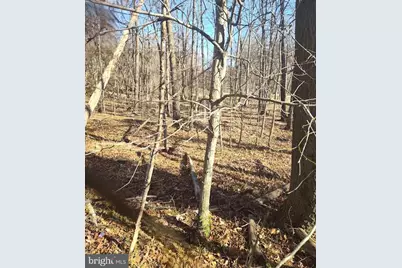 Saint Barnabas Road, Oxon Hill, MD 20745 - Photo 2