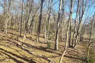 Saint Barnabas Rd, Oxon Hill, MD 20745 - Photo 1