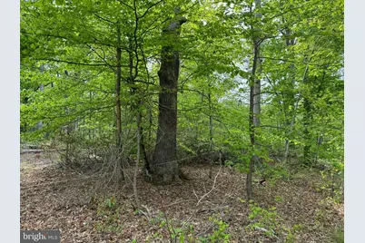 Old Marshall Hall Road, Accokeek, MD 20607 - Photo 6