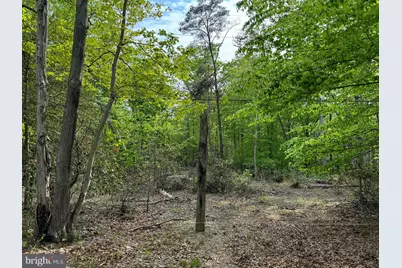 Old Marshall Hall Road, Accokeek, MD 20607 - Photo 4