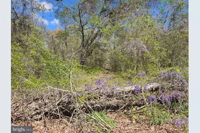 Newasa Lane, Accokeek, MD 20607 - Photo 6