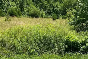 16970 Livingston Rd, Accokeek, MD 20607 - Photo 1