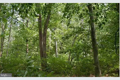 12605 Cedarville Road, Brandywine, MD 20613 - Photo 8