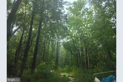 4820 Danville Road, Brandywine, MD 20613 - Photo 4