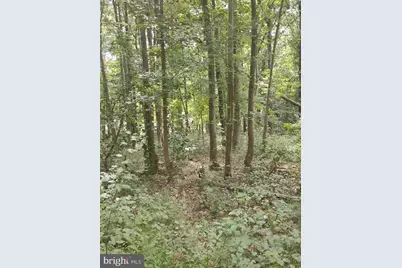 4820 Danville Road, Brandywine, MD 20613 - Photo 10