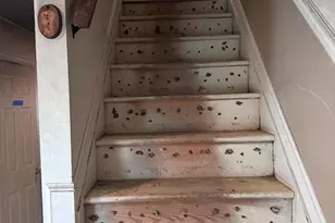 15806 Appleton Terrace, Bowie, MD 20716 - Photo 8