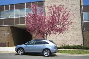 4518 Beech Rd, Temple Hills, MD 20748 - Photo 1