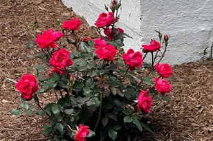 7308 Highbridge Rd, Bowie, MD 20720 - Photo 14