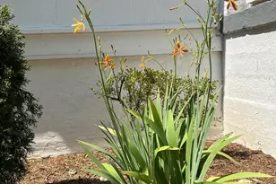 7308 Highbridge Rd, Bowie, MD 20720 - Photo 16