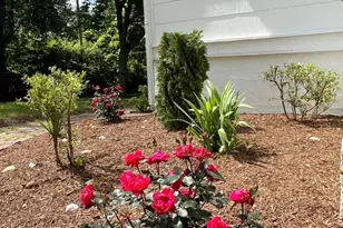 7308 Highbridge Rd, Bowie, MD 20720 - Photo 18