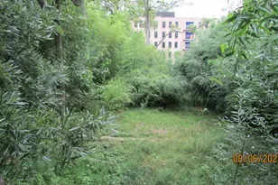 4823 Osage St, College Park, MD 20740 - Photo 28