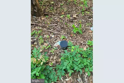 16905 Eagle Harbor Road, Aquasco, MD 20608 - Photo 16