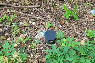 16905 Eagle Harbor Rd, Aquasco, MD 20608 - Photo 16