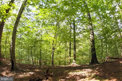 Laurel Drive, Accokeek, MD 20607 - Photo 4