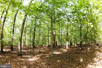 Laurel Drive, Accokeek, MD 20607 - Photo 2