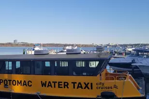 7906 Esther Dr, Oxon Hill, MD 20745 - Photo 82